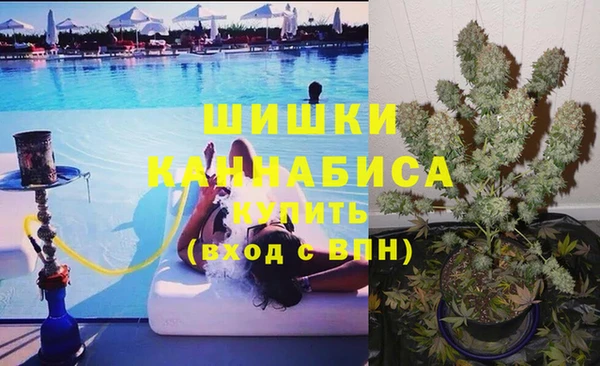 ПСИЛОЦИБИНОВЫЕ ГРИБЫ Абаза