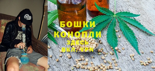 прущие грибы Фурманов